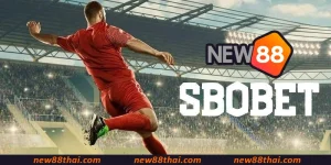 SBOBET Sports NEW88